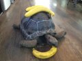 アルダブラゾウガメ