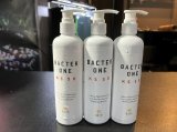 RISE BACTER ONE 300ml【R01】