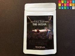 画像1: THE OCEAN　30g （ 送料20円・同梱不可・銀行振込み・PayPay限定）