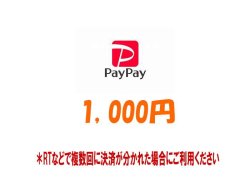 画像1: 【1000円】RT支払いpaypay専用