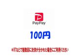 【100円】RT支払いpaypay専用