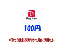 画像1: 【100円】RT支払いpaypay専用