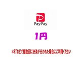 【1円】RT支払いpaypay専用