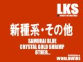 新種系・その他