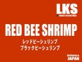 ビーシュリンプ