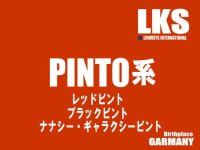 ピントシュリンプは世界的にブリードがほぼ終了しています