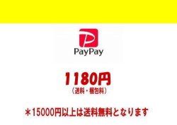 画像1: 【送料1180円】RT支払いpaypay専用