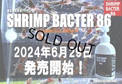 画像2: SHRIMP BACTER 86 500ml 【L02】
