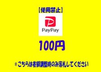 【100円】計算間違いによる差額調整時のみ