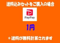 【1円】送料込みセットと同時発送の場合のみ