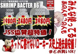 画像1: SHRIMP BACTER 86 ＊同梱送料無料 ＊超高濃度につき取り扱いご注意ください