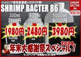 SHRIMP BACTER 86  ＊年末スペシャル2024（期間限定）