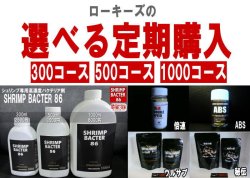 画像1: ローキーズのシュリンプ飼育商品 定期購入コース ＊送料無料！コレクト手数料無料！