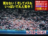 死着補償付き レッドビーシュリンプ 小さめASミックス（送料込み）