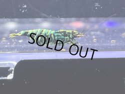 画像3: HY shrimp BLACK GALAXY 色々抱卵ミックス5匹セット ＊落札点数割引対象外