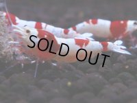 082　H【4＋1】愛知の人気ブランドも超特価放出！Y's Bee