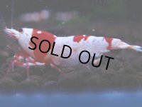 091　H【4＋1】愛知の人気ブランドも超特価放出！Y's Bee