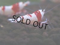 097　H【4＋1】愛知の人気ブランドも超特価放出！Y's Bee