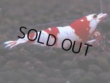 086　H【4＋1】愛知の人気ブランドも超特価放出！Y's Bee