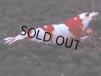 086　H【4＋1】愛知の人気ブランドも超特価放出！Y's Bee