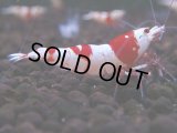 093　H【4＋1】愛知の人気ブランドも超特価放出！Y's Bee