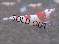 093　H【4＋1】愛知の人気ブランドも超特価放出！Y's Bee