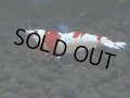 079　C【4＋1】SHRIMP AWARD3連覇ブランドも超特価放出！SUPER FARM O2