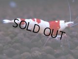 081　H【4＋1】愛知の人気ブランドも超特価放出！Y's Bee