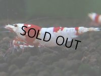 092　H【4＋1】愛知の人気ブランドも超特価放出！Y's Bee