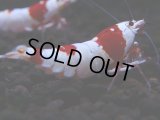 084　H【4＋1】愛知の人気ブランドも超特価放出！Y's Bee