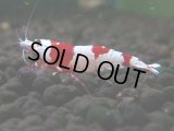 094　H【4＋1】愛知の人気ブランドも超特価放出！Y's Bee