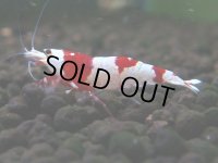 094　H【4＋1】愛知の人気ブランドも超特価放出！Y's Bee