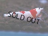 090　H【4＋1】愛知の人気ブランドも超特価放出！Y's Bee