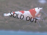 090　H【4＋1】愛知の人気ブランドも超特価放出！Y's Bee
