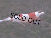 096　H【4＋1】愛知の人気ブランドも超特価放出！Y's Bee