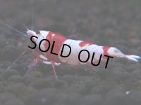 089　H【4＋1】愛知の人気ブランドも超特価放出！Y's Bee