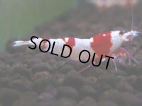098　H【4＋1】愛知の人気ブランドも超特価放出！Y's Bee