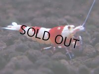 100　H【4＋1】愛知の人気ブランドも超特価放出！Y's Bee ＊次回7日10時00分予定となります（本日ナイトバーゲンはありません）