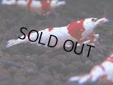 085　H【4＋1】愛知の人気ブランドも超特価放出！Y's Bee