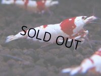085　H【4＋1】愛知の人気ブランドも超特価放出！Y's Bee