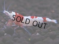 095　H【4＋1】愛知の人気ブランドも超特価放出！Y's Bee