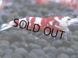 328　H【4＋1】ミポリンフラッシュ80連発！【FINAL】