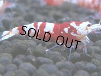 328　H【4＋1】ミポリンフラッシュ80連発！【FINAL】