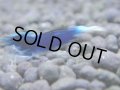 351　H【4＋1】ミポリンフラッシュ80連発！【FINAL】