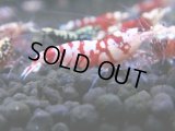 363　H【4＋1】ミポリンフラッシュ80連発！【FINAL】