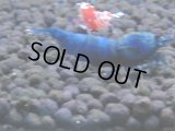 325　H【4＋1】ミポリンフラッシュ80連発！【FINAL】