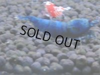 325　H【4＋1】ミポリンフラッシュ80連発！【FINAL】