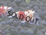364　H【4＋1】ミポリンフラッシュ80連発！【FINAL】