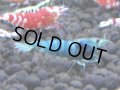 322　H【4＋1】ミポリンフラッシュ80連発！【FINAL】