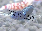 368　H【4＋1】ミポリンフラッシュ80連発！【FINAL】